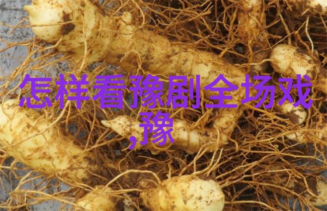 豫东调的唱腔特征
