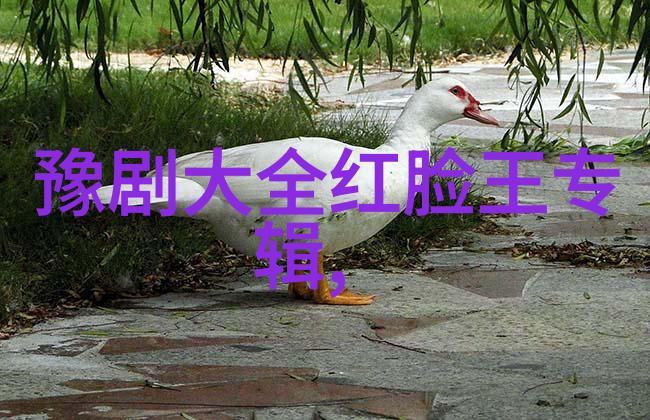 火塘寨