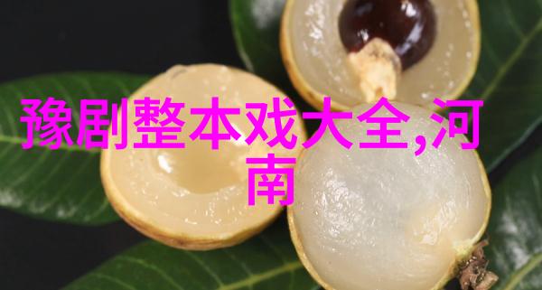 豫东调的早期科班府八班