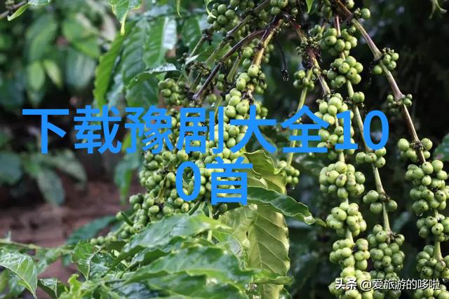 双扒墓