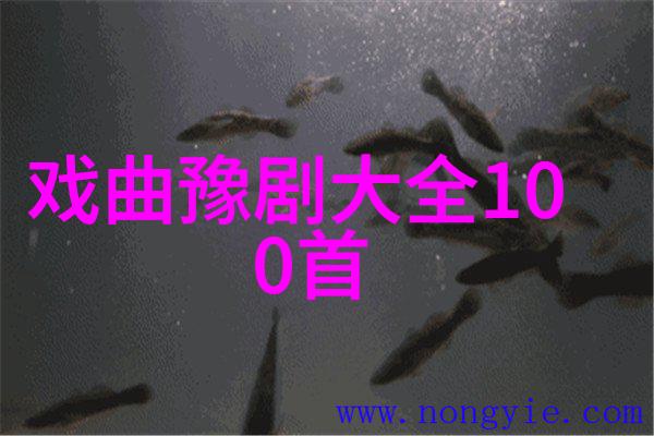 姜晶玉